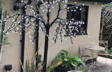 Just a Minim - quaint studio in beautiful rural location - Foto 33