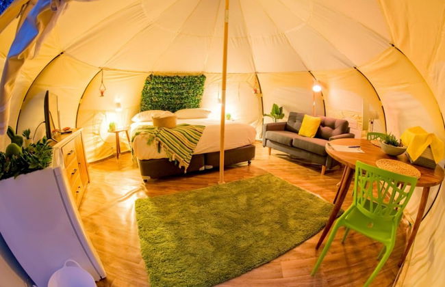 BIG4 Yarra Valley Park Lane Holiday Park - Foto 11