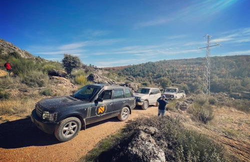 Anjú-Pardal - Foto 78