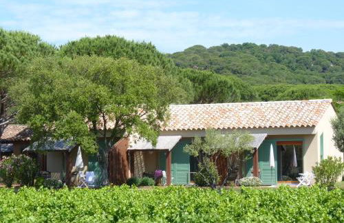 Residence Les Sellettes - Foto 11