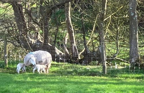 The Dairy, A Cosy conversion nr Little Haven - Foto 5