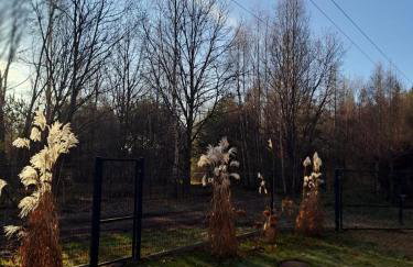 Bursztynowy domek - Foto 17