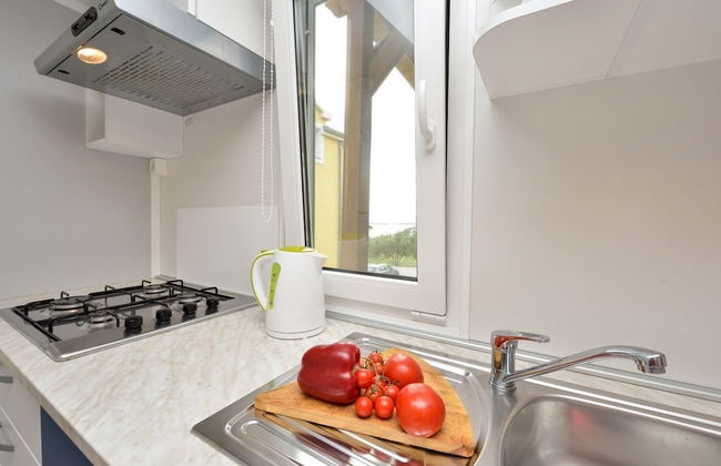 Iva - Great Garden - H - Photo 6