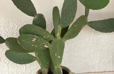 Grano Arso Appartamento Turistico - Foto 47