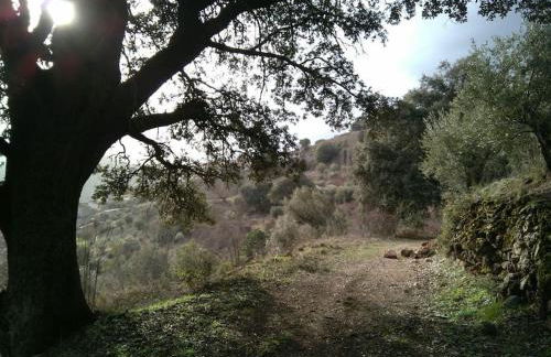 A 11 km de Riopar Casa Acogedora con sabor antaño - Foto 72