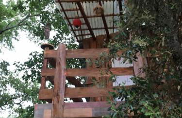 Casacoquelicot Un jardin sud-américain en Provence - Photo 14