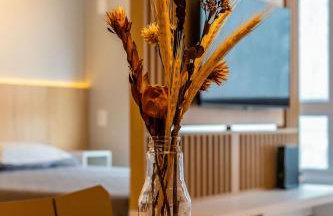 StudioTerraCor-Novo apto Jurere 240m da praia - Foto 3