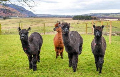 Sharp Edge - Foto 27