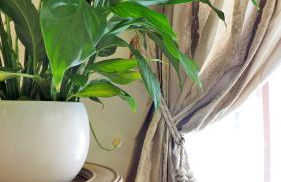 LES ANGES DELUXE AVIGNON - Romantic Rental - Luxury Services & Tours - Foto 75