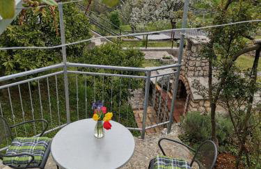 Apartman MARIJETA - Foto 3