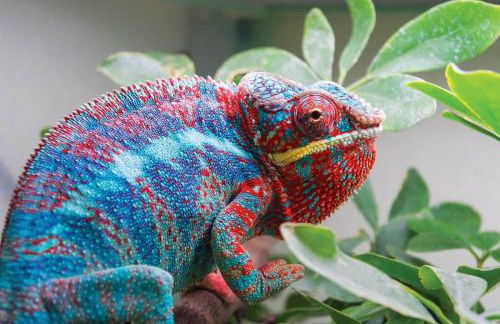 Seiriol at Llanfair Hall - Foto 30