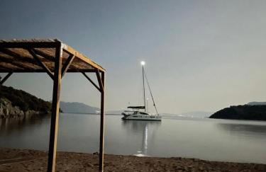 Citrus garden - Photo 36