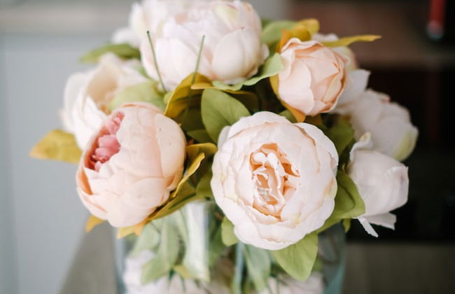 Village View Flat in the Lakes - Foto 25