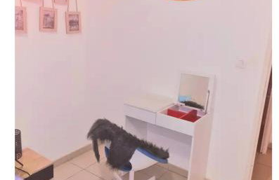 Escale marine - Foto 61