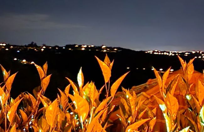 Águas Chalés Temporada - Foto 61