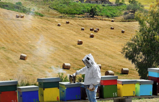 Agriturismo Villa Dafne - Photo 37