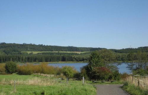 Ferienwohnung in der Vulkaneifel - Photo 20