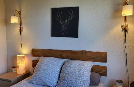 Maison cosy, garage, jardin, terrasse vue montagne - Foto 46