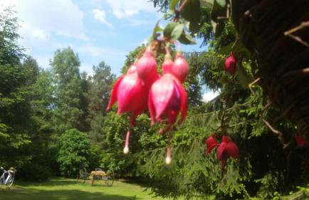 Albertówka - Foto 9