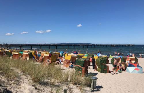 Reethaus Seeadler mit Sauna, Terrasse, Garten - Foto 21
