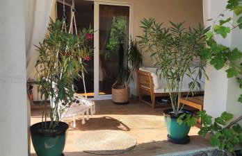 Dom Sloneczny - Foto 11