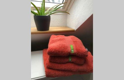 Ferienwohnung Harzglueck auf 2 Etagen mit grossem SW-Balkon - Foto 12