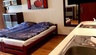 Drzewosfera - Foto 4