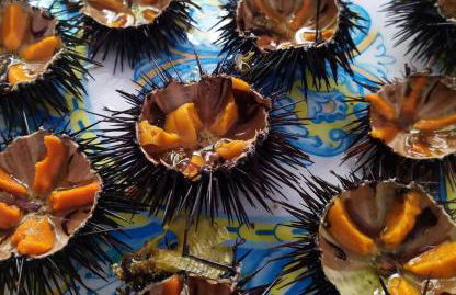 Baia verde 71 - Foto 15