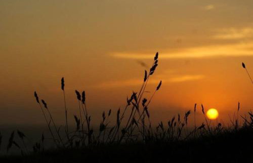Cosy Rustic Annex in quiet Cornwall Village - Foto 31