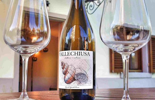 Casa Agricola Rossi - Photo 43