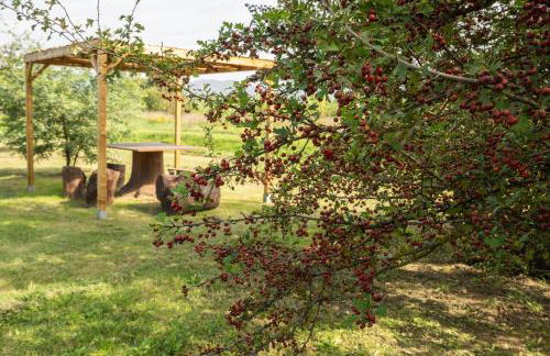 Incanto Toscano - Foto 27