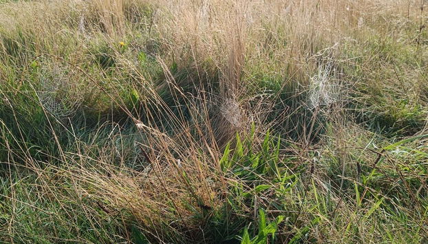 4 Person Holiday Home in Lemvig-by Traum - Foto 5, Verschiedenes