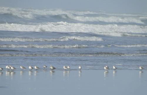 Shakti Cove Cottages - Foto 53