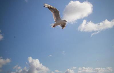 Enlli Fach cabin sleep's 2 adults and 2 children 2 dogs welcome not suitable for contract workers due to parking height restrictions - Photo 30