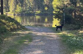 HAUS AM SEE - Natur Pur - Foto 4