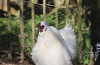 La Demeure de la Poterie, Wimille & Wimereux - Foto 54