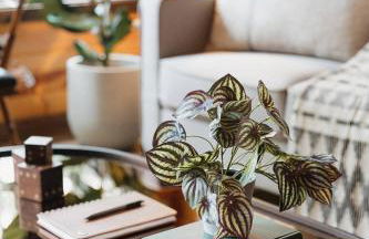 "The Lantern" Woodsy Cabin Experience w/ HotTub - Foto 21