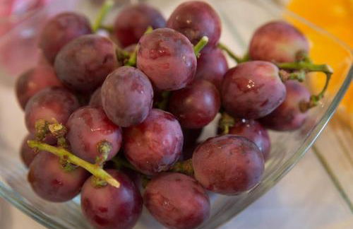 Casa do Outeiro - Foto 7