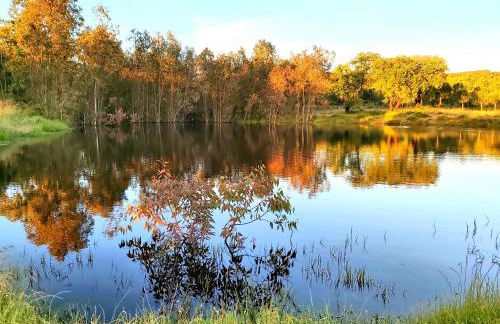 Casas Herdade do Convento da Serra - Foto 12