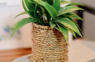 Armonia Pramanta Mountain Tzoumerka - Photo 49