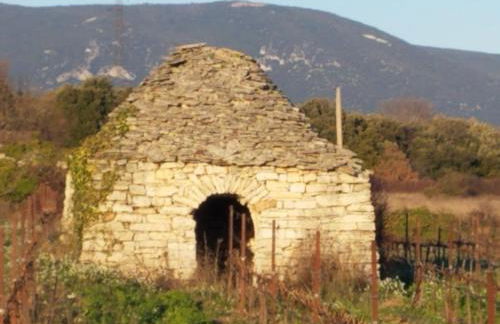 Luberon - Mas du Grand Saint Julien - Foto 24
