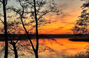 Siedlisko Lubie - Foto 41