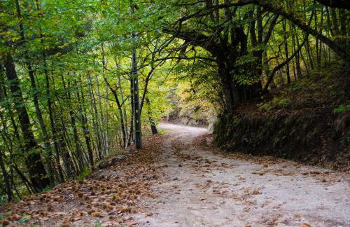 Casas do Soito - Foto 16