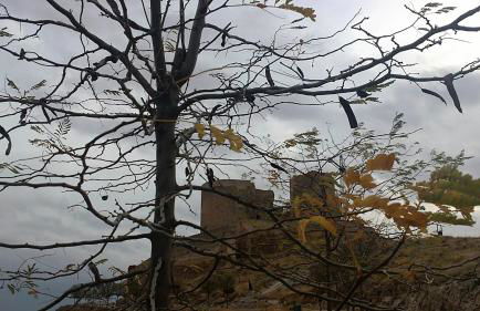 Apartamento La Guinda - Foto 38