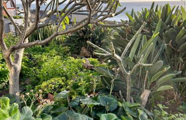 Casa Carneirinho by Olá Madeira - Foto 24