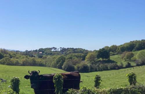 Villa ARGUIBEL - Foto 52