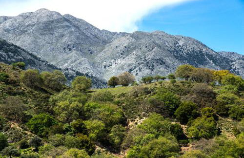 Villa Cretan View with Heated Swimming Pool - Foto 94