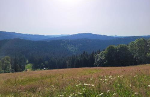 Mitterdorf - apartmán Almberg - Foto 21