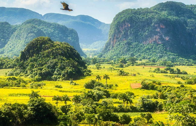 Excursion de 2 jours dans la vallée de Viñales - Photo 1