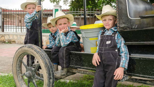 Excursión a los campos menonitas de Cuauhtémoc - Foto 4